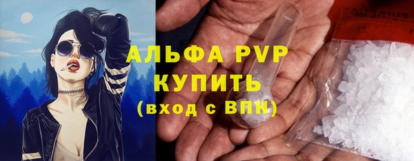 ешки Белокуриха