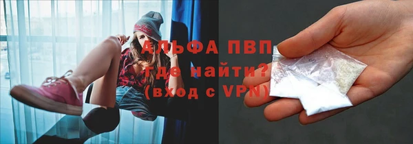 ешки Белокуриха
