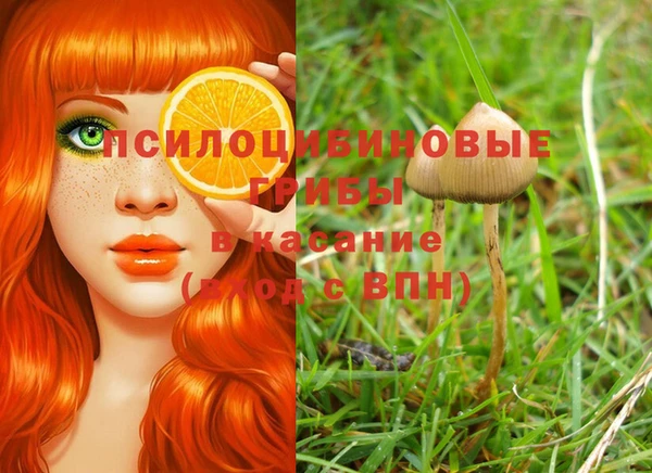 ешки Белокуриха