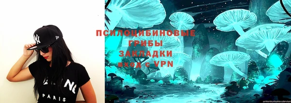 ешки Белокуриха