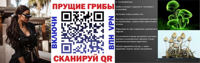 где найти наркотики  Чадан  гидра зеркало  Галлюциногенные грибы GOLDEN TEACHER 